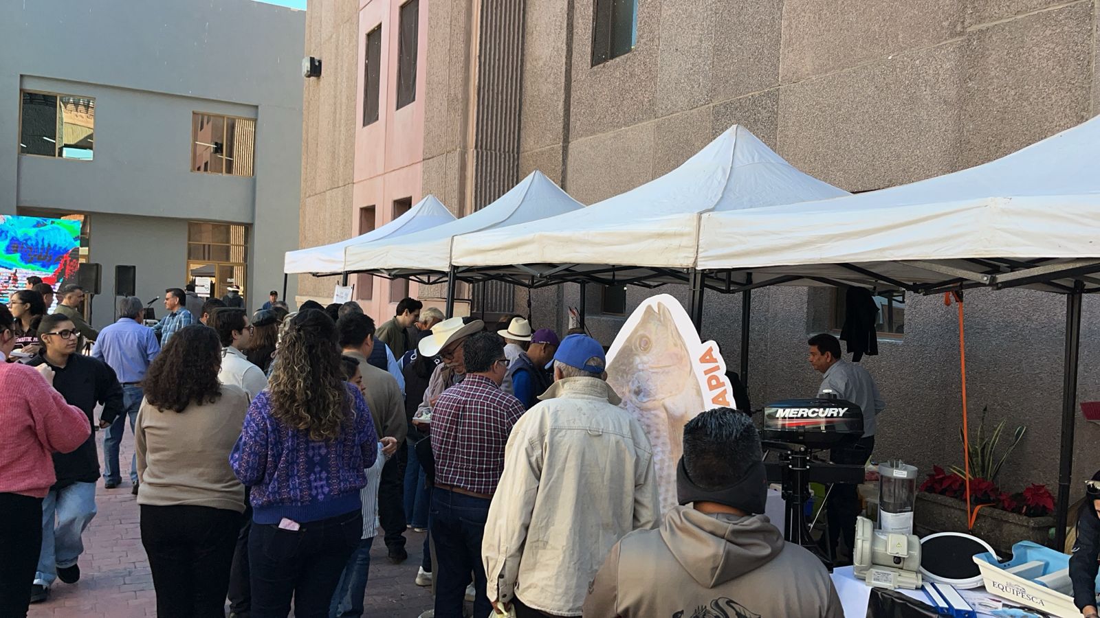 Sagarhpa impulsa el consumo de tilapia con participativa Muestra Gastronómica